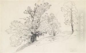 A Landscape On A Hill With Trees In The Foreground by Eugene Jettel