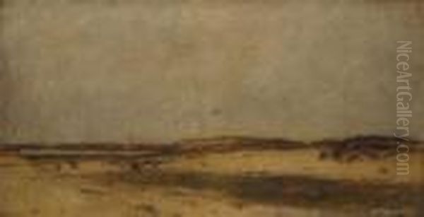 Sand Dunes In Holland - view 1