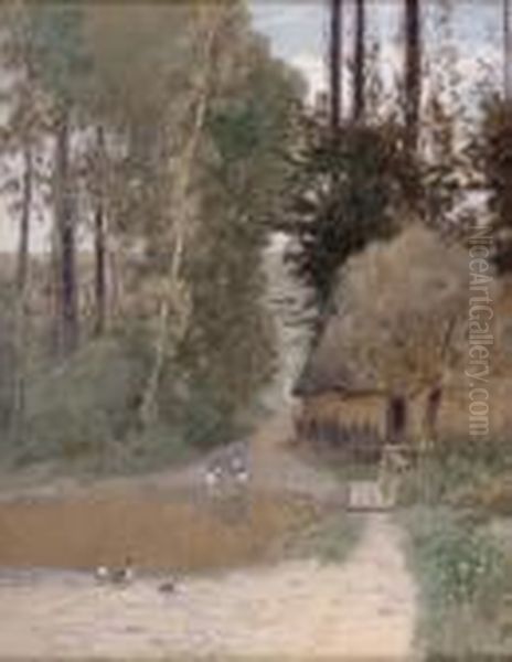 Enten Am Weiher Vor Einem Bauernhaus - view 1
