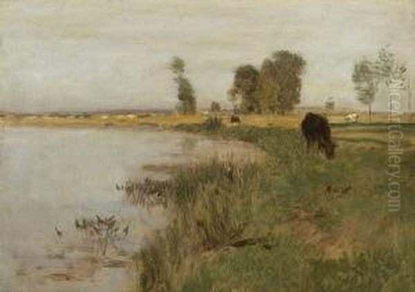 Uferlandschaft - view 1