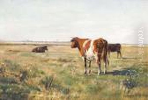 Cows At Pasture - view 1