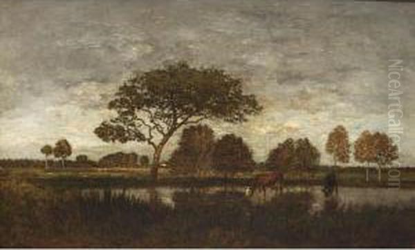 Cows Near The Waterfront - view 1