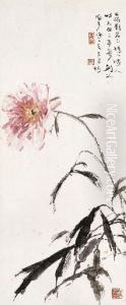 Peony - view 1