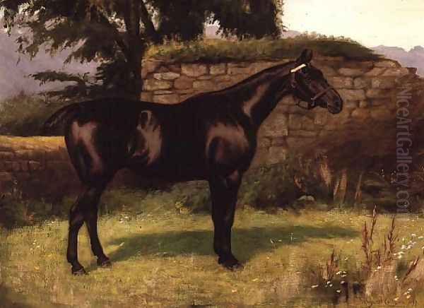 Black Prince - view 1