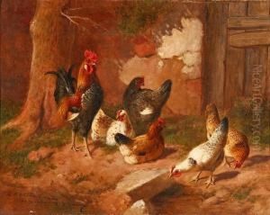 Gallinero Gallinero