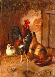 Corral Corral