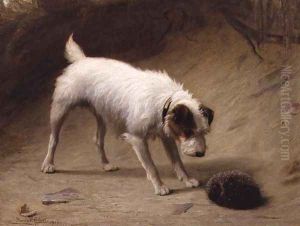 Nonplussed 1900 by Margaret Collyer