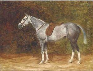 A saddled dapple grey hunter A saddled dapple grey hunter