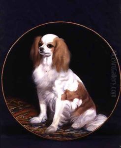 King Charles Spaniel