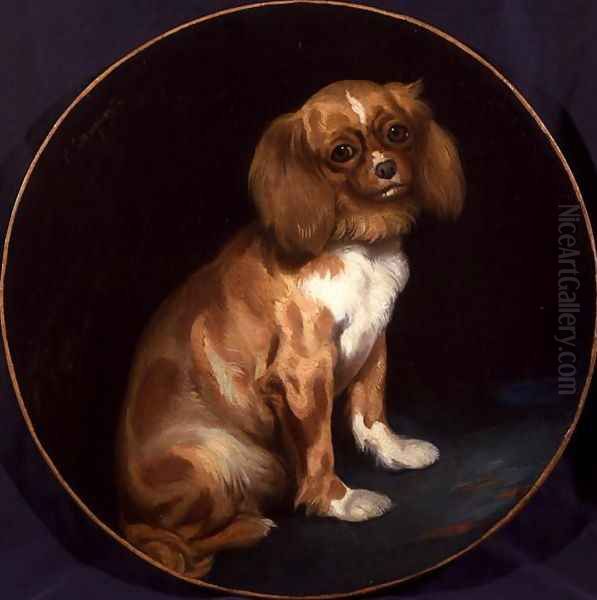 A King Charles Spaniel - view 1