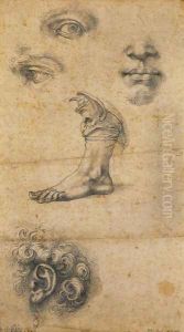 Five studies by Benvenuto Cellini