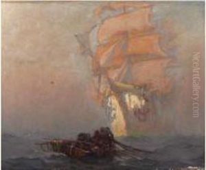 Surpris Dans La Brume