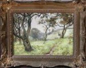 A Woodland Track