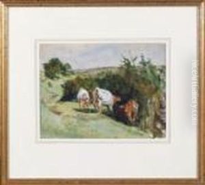 Cows In A Summer Meadow.