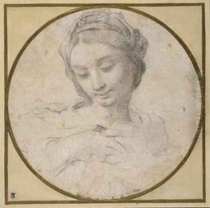 Head and shoulders of the Virgin by Carlo Cignani