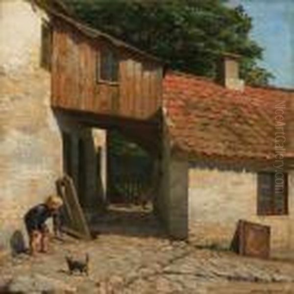 Boy Playing With A Catin A Yard - view 1