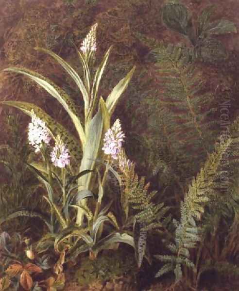 Wild Orchids - view 1