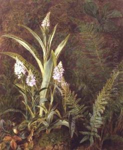Wild Orchids by Marian Emma Chase