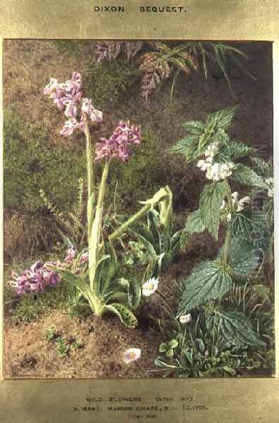 Wild Flowers - view 1