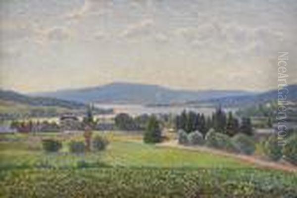 Blanande Berg - Norrlandsk Landskapsvy - view 1