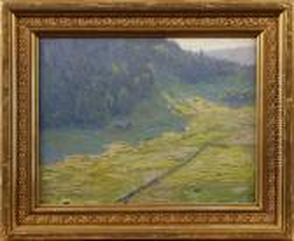 Sommarlandskap - view 1