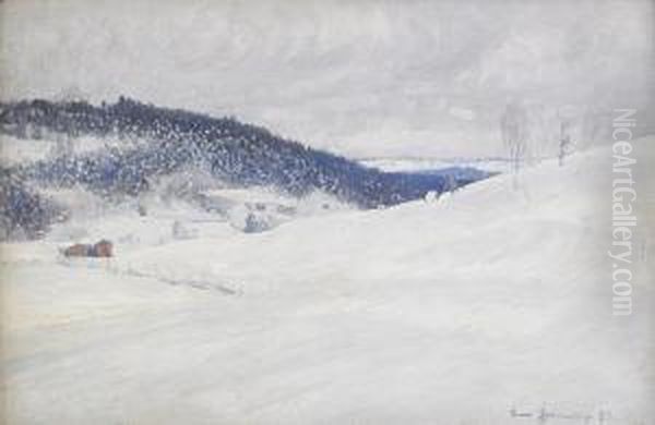 Landskapsvy Fran Medelpad - Vinter - view 1