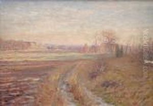 Varlandskap. Signerad Och Daterad -95. Duk, 31x45. Litet Skrapmarke by Carl August Johansson