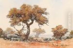 African Savanah by David Johnson