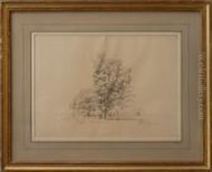 Oak Oak