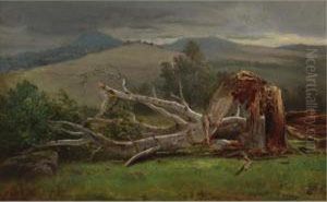 Study Of A Birch