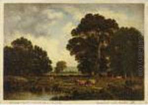 Afternoon by David Johnson