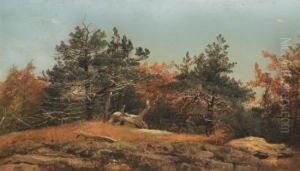 ''study At Cedars Ramapo''