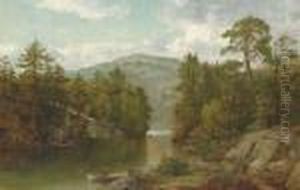 A View On Lake George (paradise Bay) by David Johnson