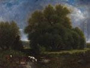 Cattle Watering At The River's Edge