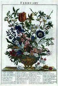 February, from 'The Flower Garden Displayed' by Pauwel Casteels