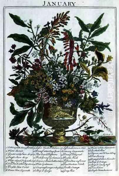 January, from 'The Flower Garden Displayed - view 1