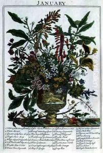 January, from 'The Flower Garden Displayed by Pauwel Casteels