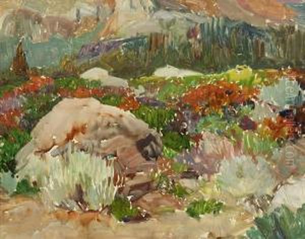 Wildflowers - view 1