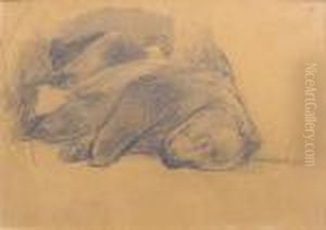 Sleeping Bear Study