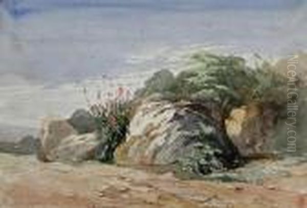 Study Of Rocks - view 1