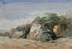 Study Of Rocks by Harry John Johnson