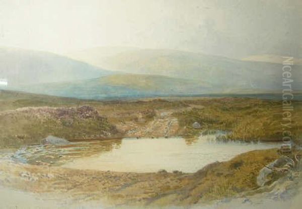 Dartmoor - view 1