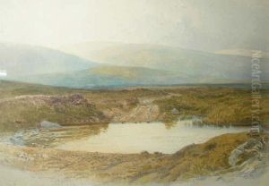 Dartmoor by Harry John Johnson