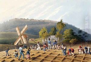 Slaves Planting Cane Cuttings, from 'Ten Views in the Island of Antigua', 1823 by William Clark