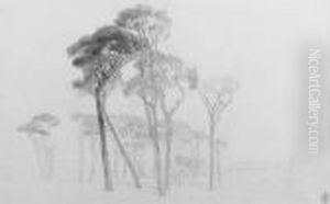 Umbrella Pines In The Campagna Near Rome, Italy by Harry John Johnson