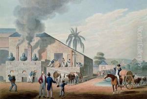Slaves Set to Work Producing Rum at the Distillery, Antigua, 1823