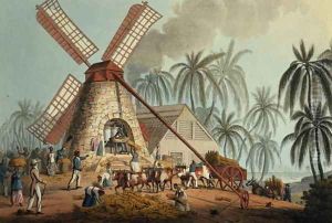 The Crusher Squeezes Juice from the Cane, Antigua, 1823