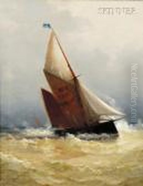Yachting - view 1