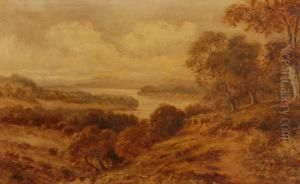 Landscape View In Monmouthshire Landscape View In Monmouthshire