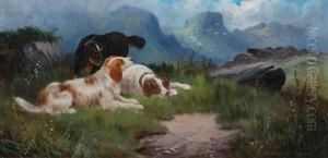 Setters By A Loch; Setters On A Hill-top